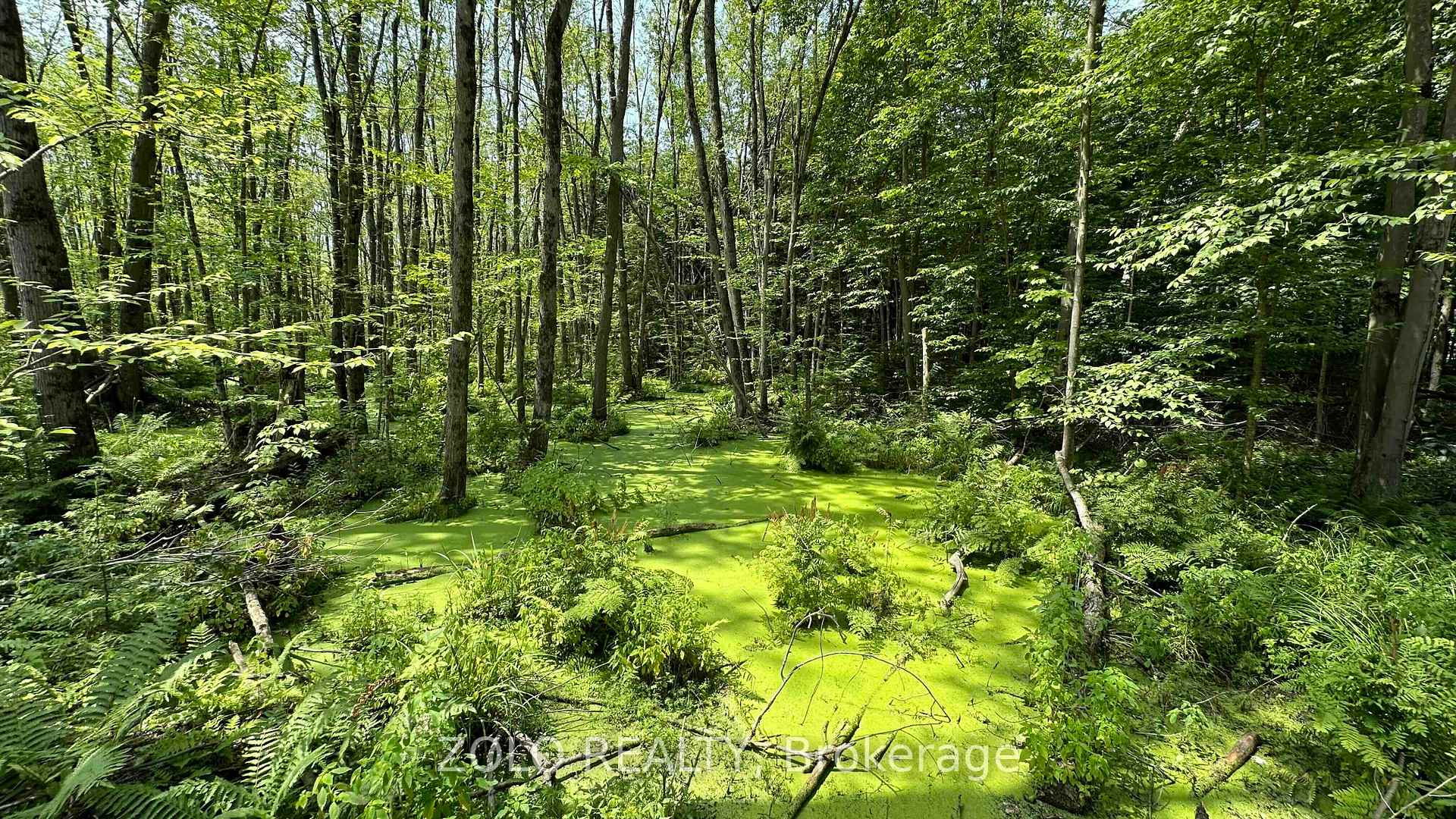 Photo 18 of 3148 Searidge Street, Severn, West Shore — HOMEH