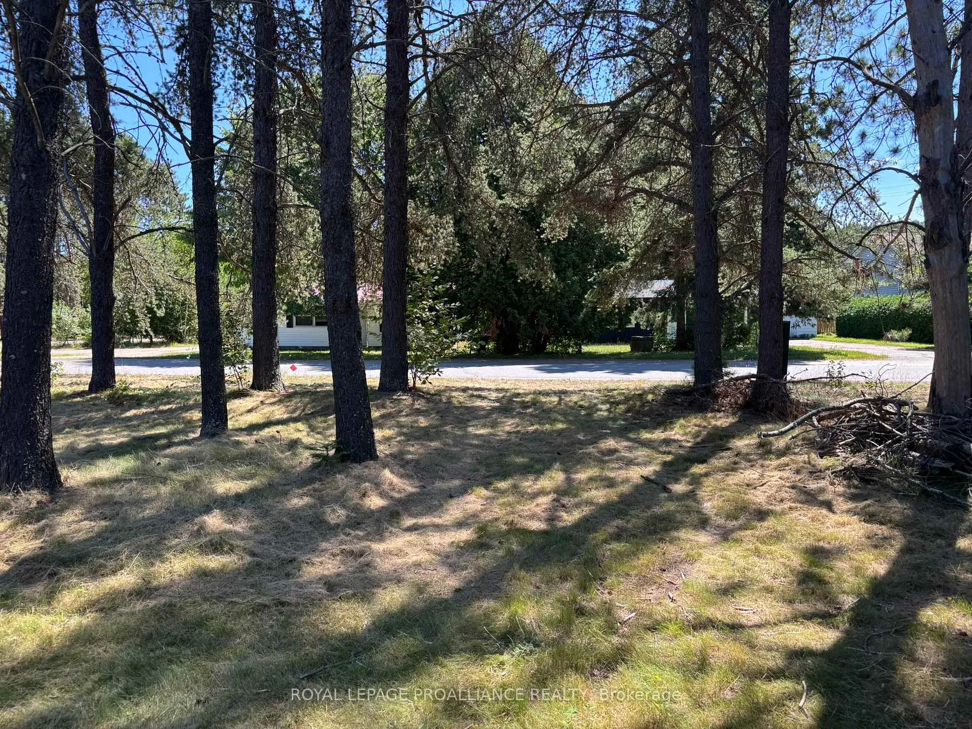Photo 3 of 49 Second Avenue, South Algonquin — HOMEH