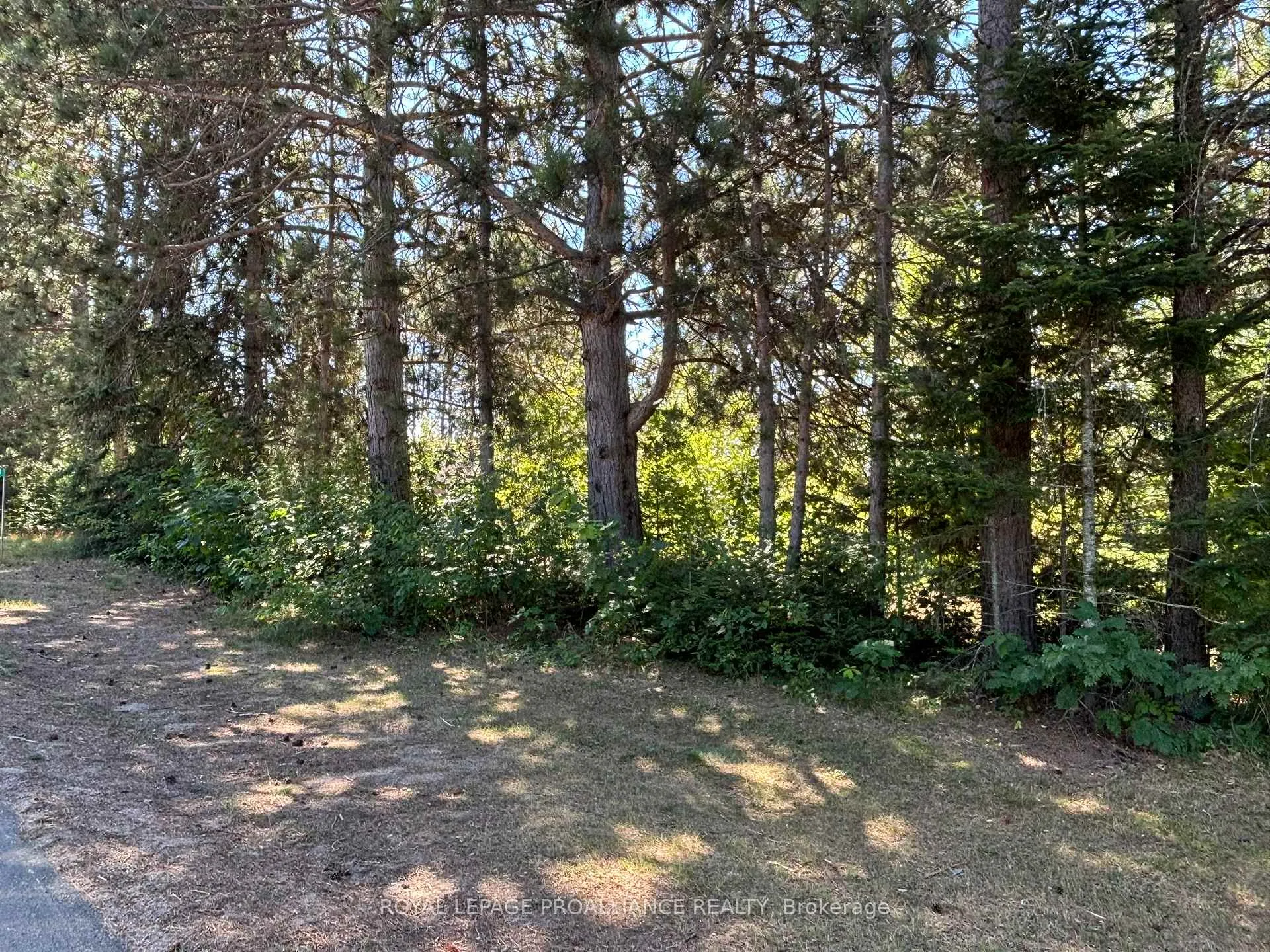 Photo 21 of 49 Second Avenue, South Algonquin — HOMEH