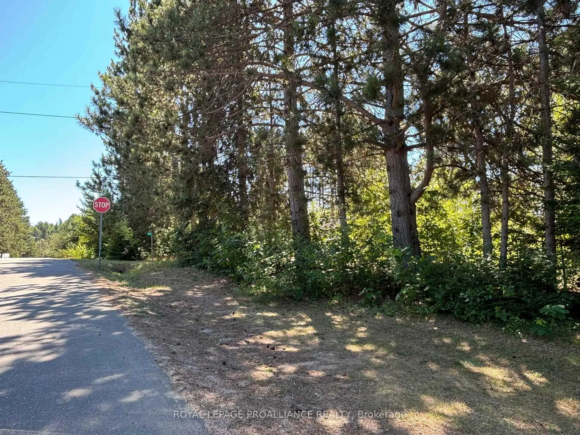 Photo 22 of 49 Second Avenue, South Algonquin — HOMEH