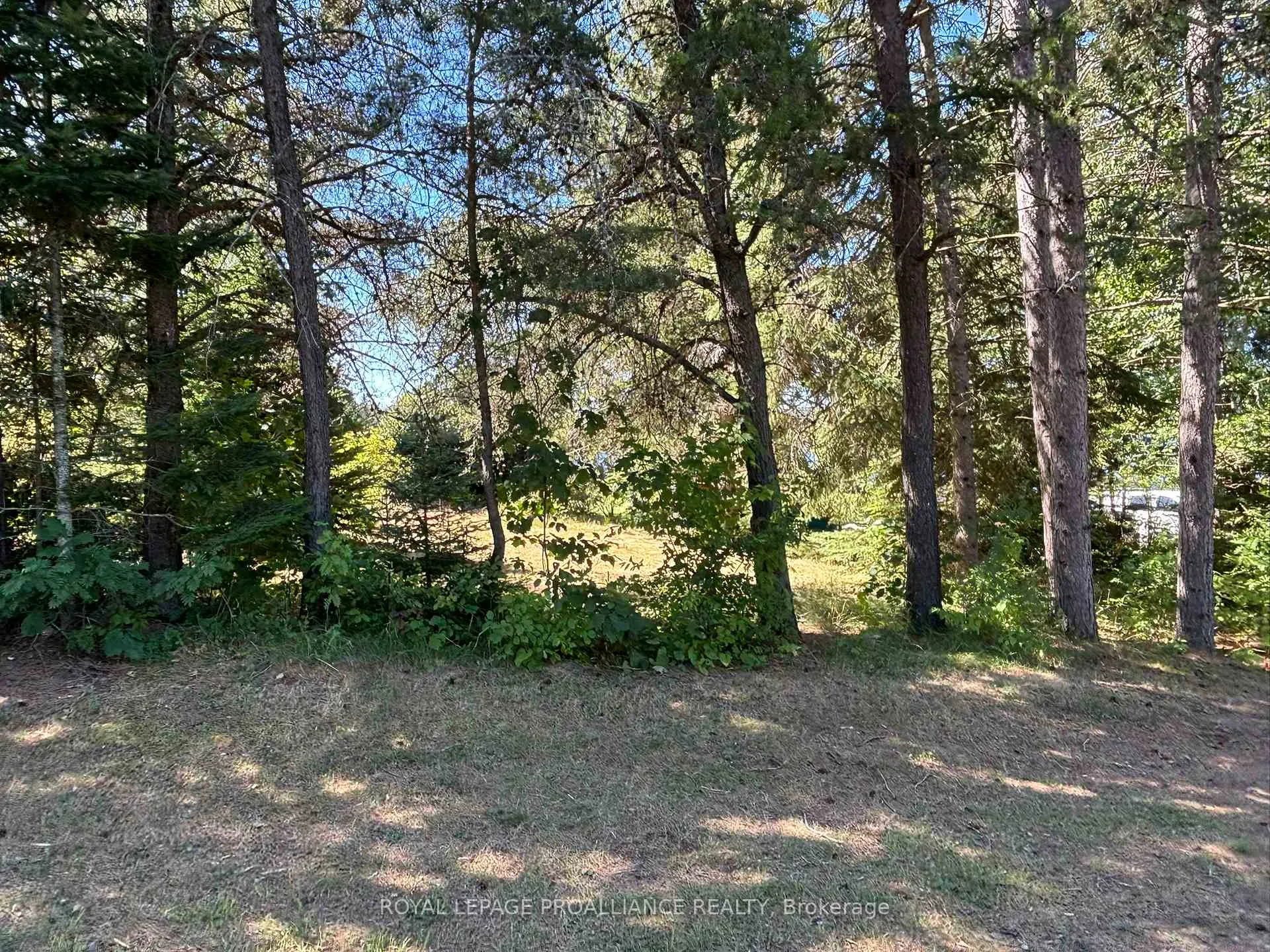 Photo 23 of 49 Second Avenue, South Algonquin — HOMEH