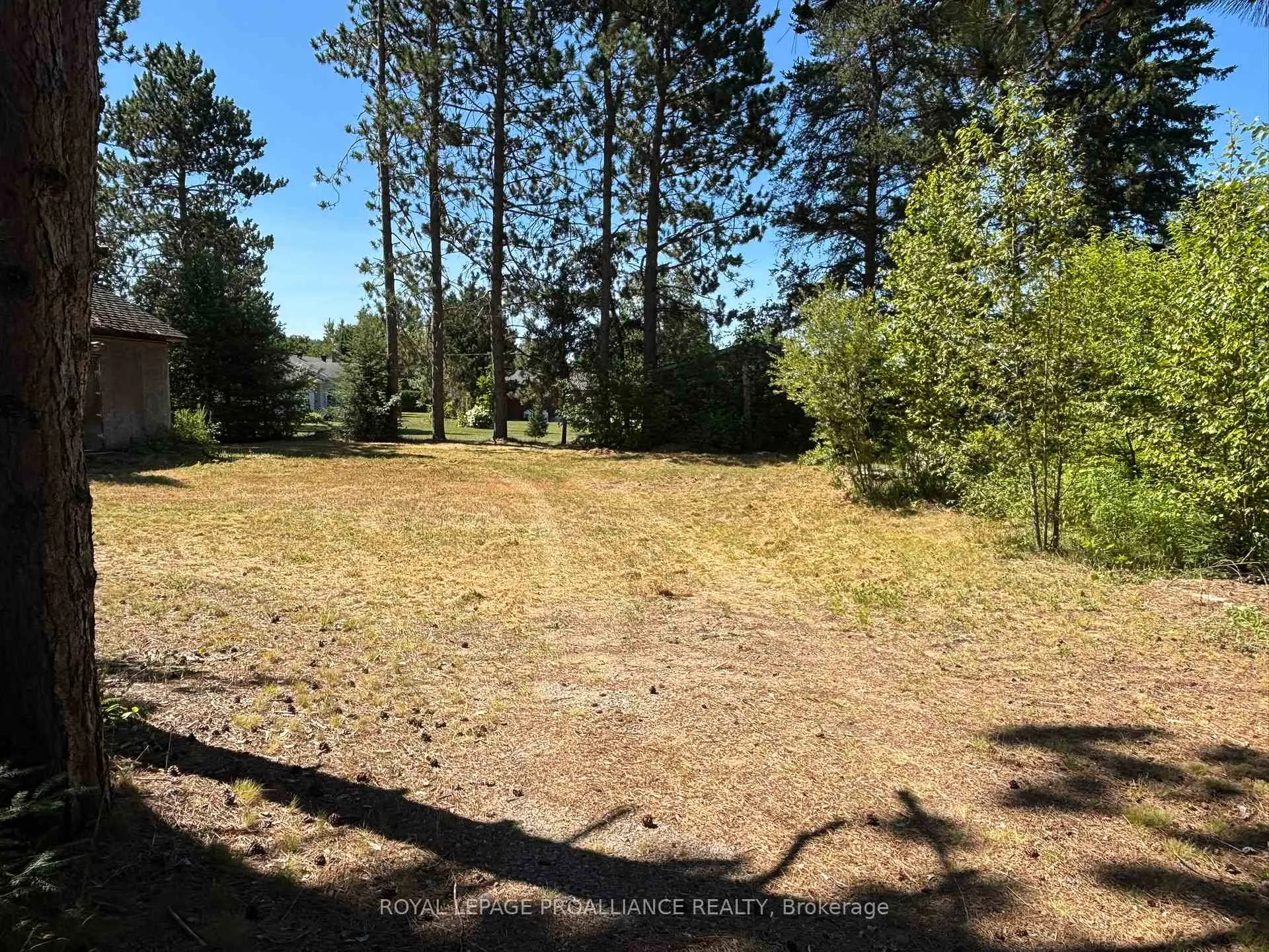 Photo 24 of 49 Second Avenue, South Algonquin — HOMEH