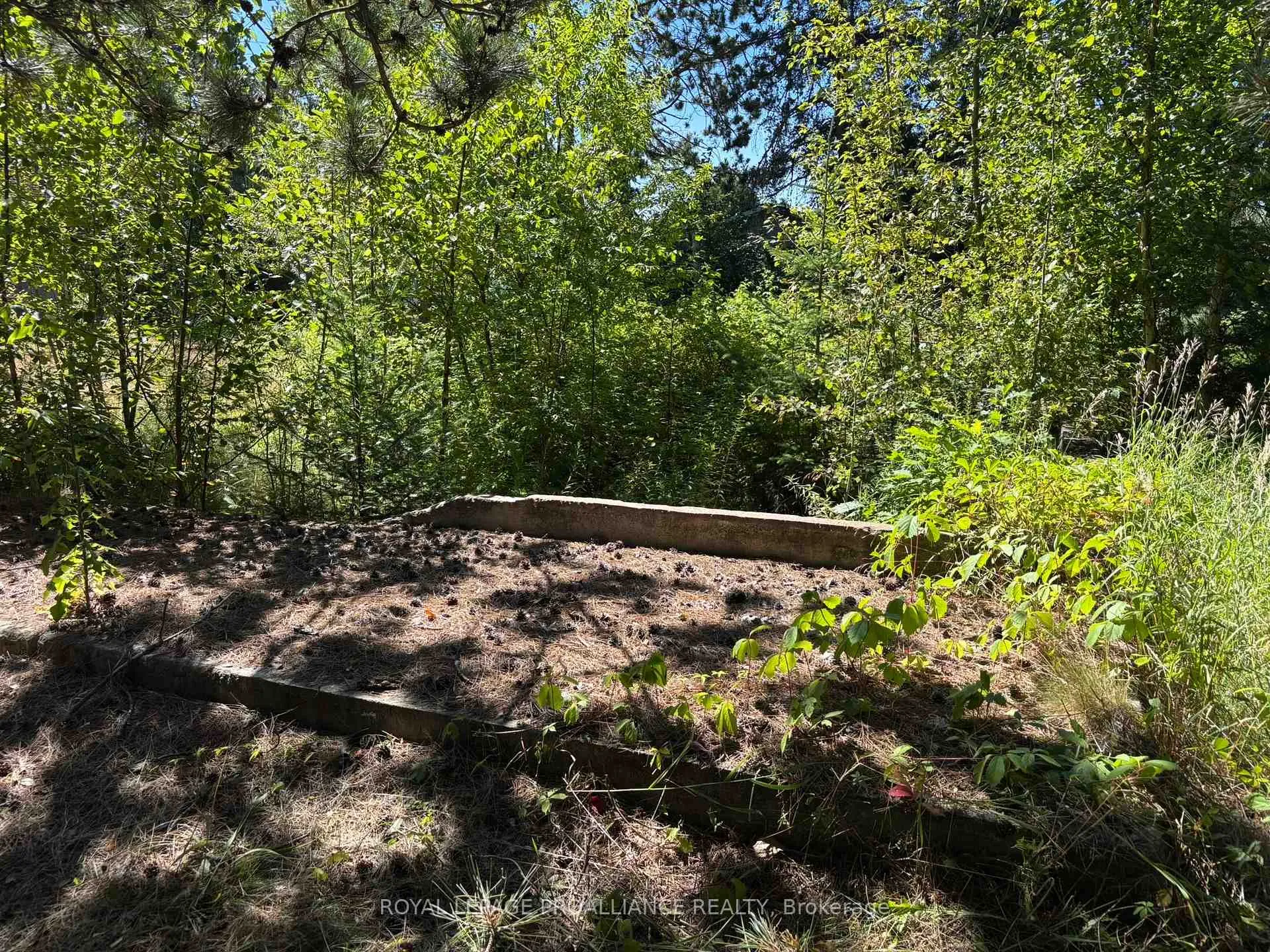 Photo 27 of 49 Second Avenue, South Algonquin — HOMEH