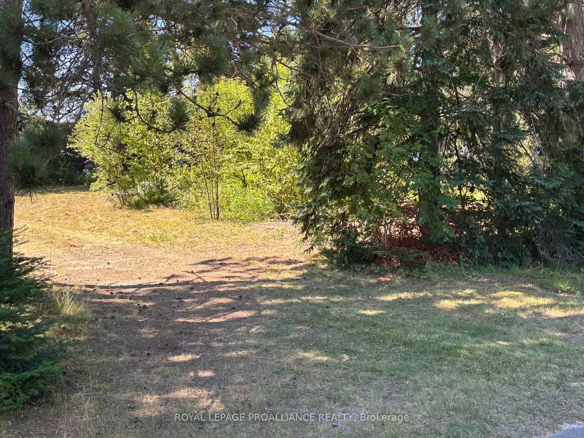 Photo 32 of 49 Second Avenue, South Algonquin — HOMEH