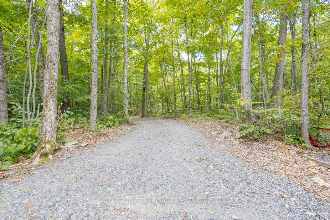 Photo 4 of 16 Long and Winding Road, Seguin — HOMEH