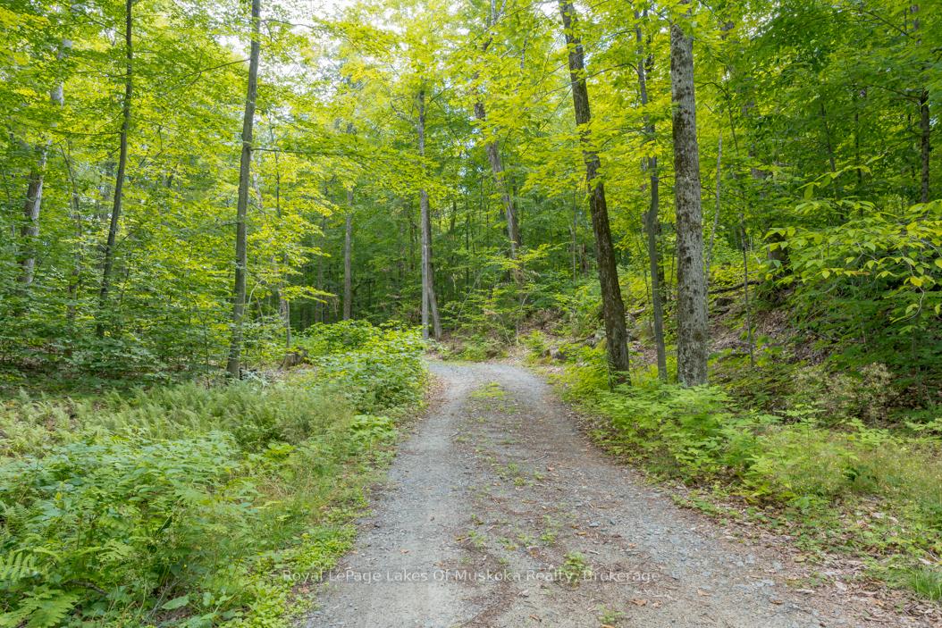 Photo 15 of 16 Long and Winding Road, Seguin — HOMEH