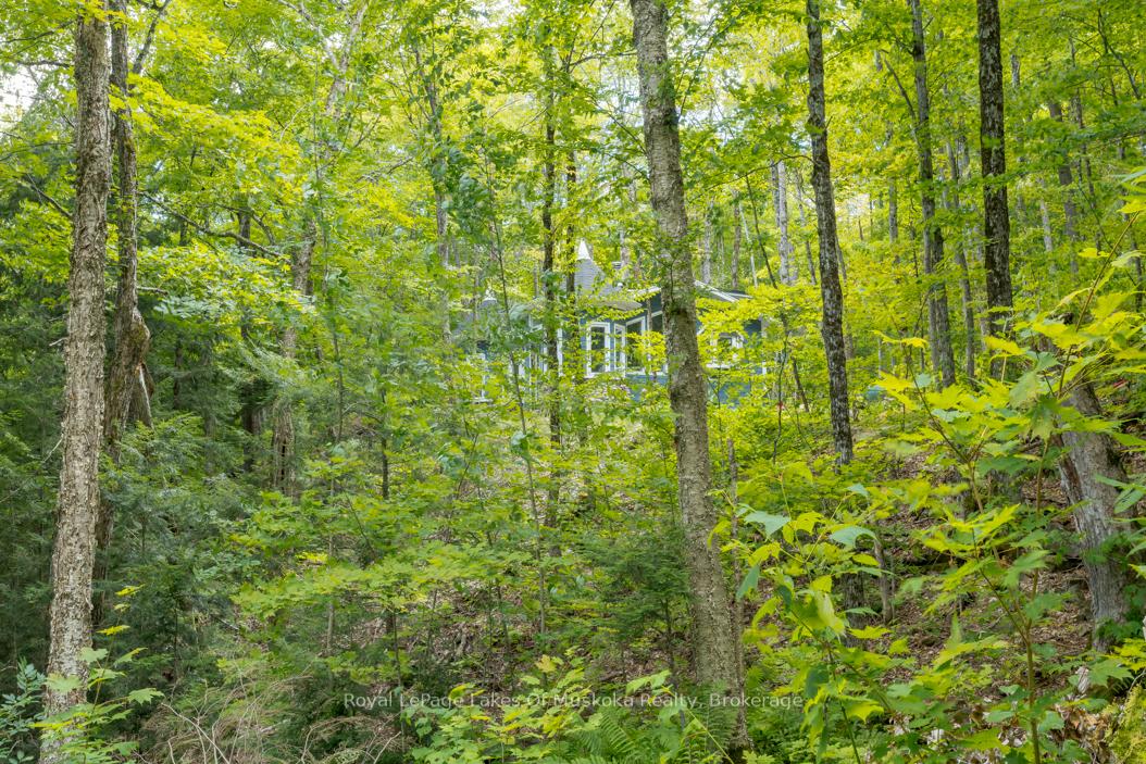 Photo 17 of 16 Long and Winding Road, Seguin — HOMEH