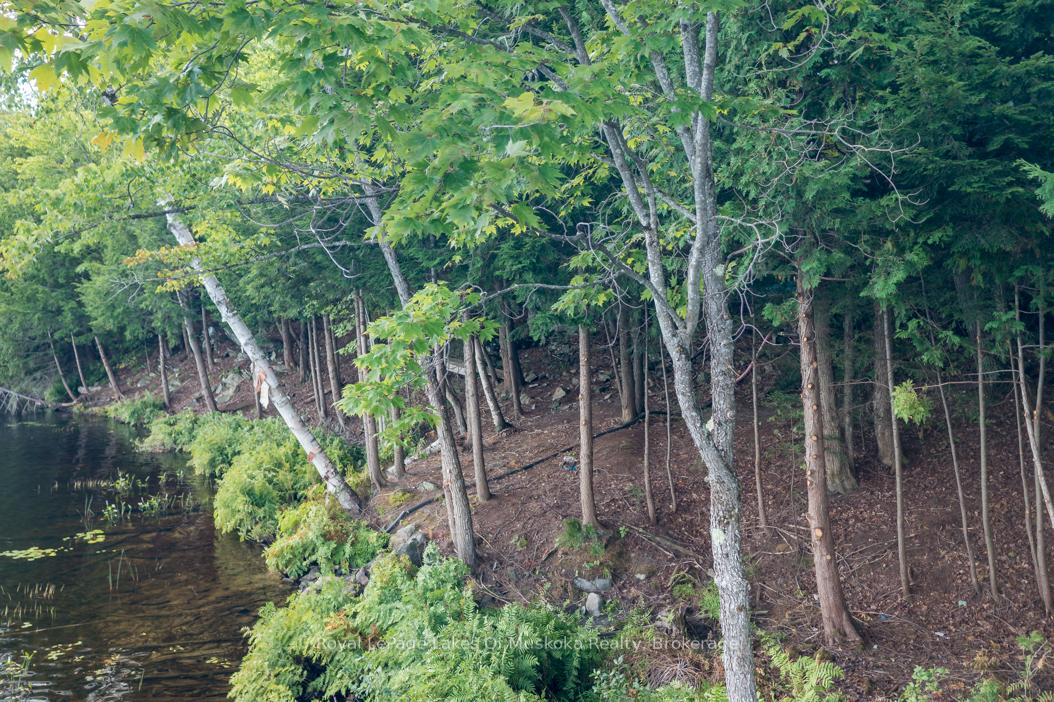 Photo 24 of 16 Long and Winding Road, Seguin — HOMEH