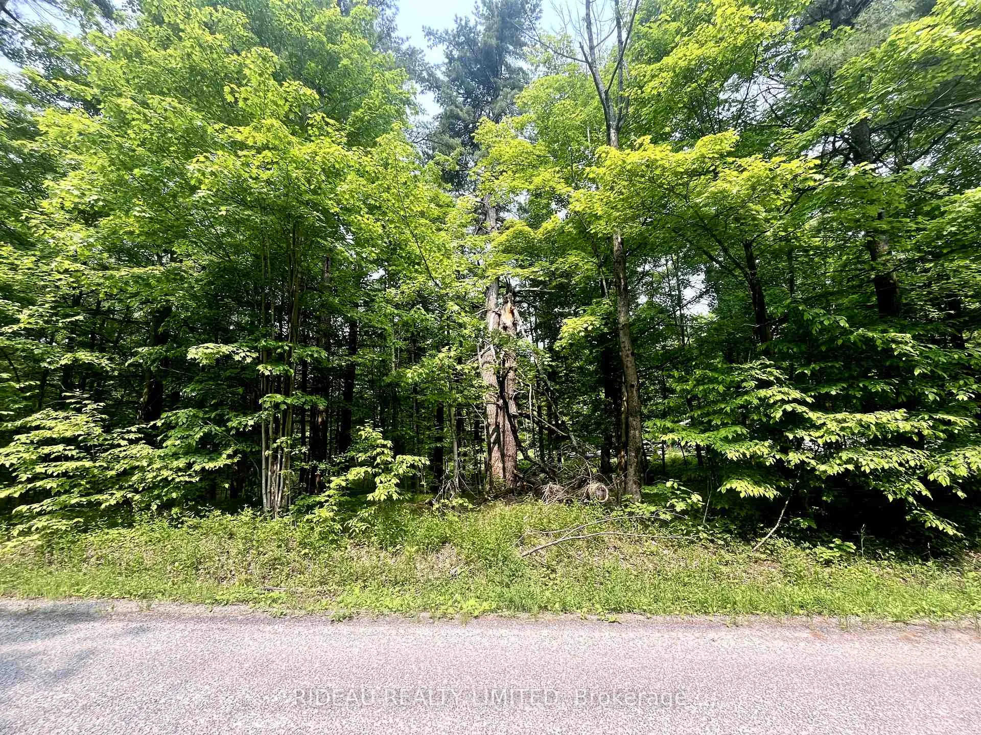 Photo of P7 Clear Lake Road