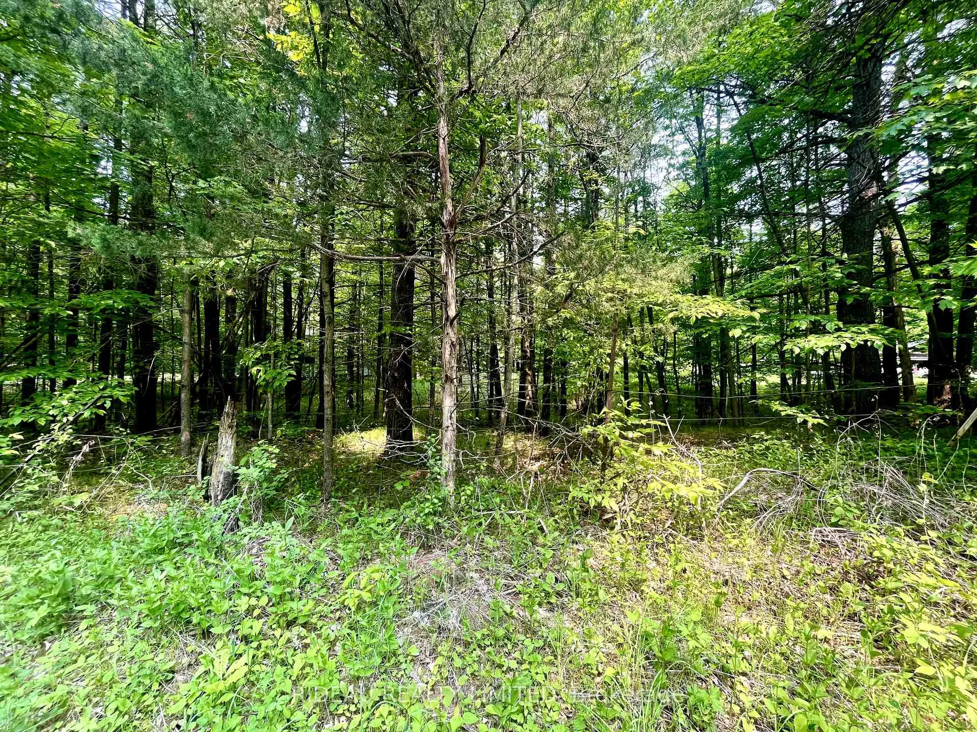 Photo 2 of P7 Clear Lake Road, Rideau Lakes, Rideau Lakes (South Crosby) Twp — HOMEH