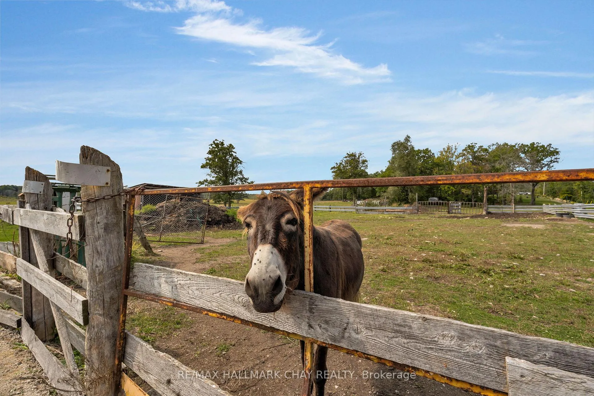 Photo 30 of 2514 St Amant Road, Severn, Rural Severn — HOMEH