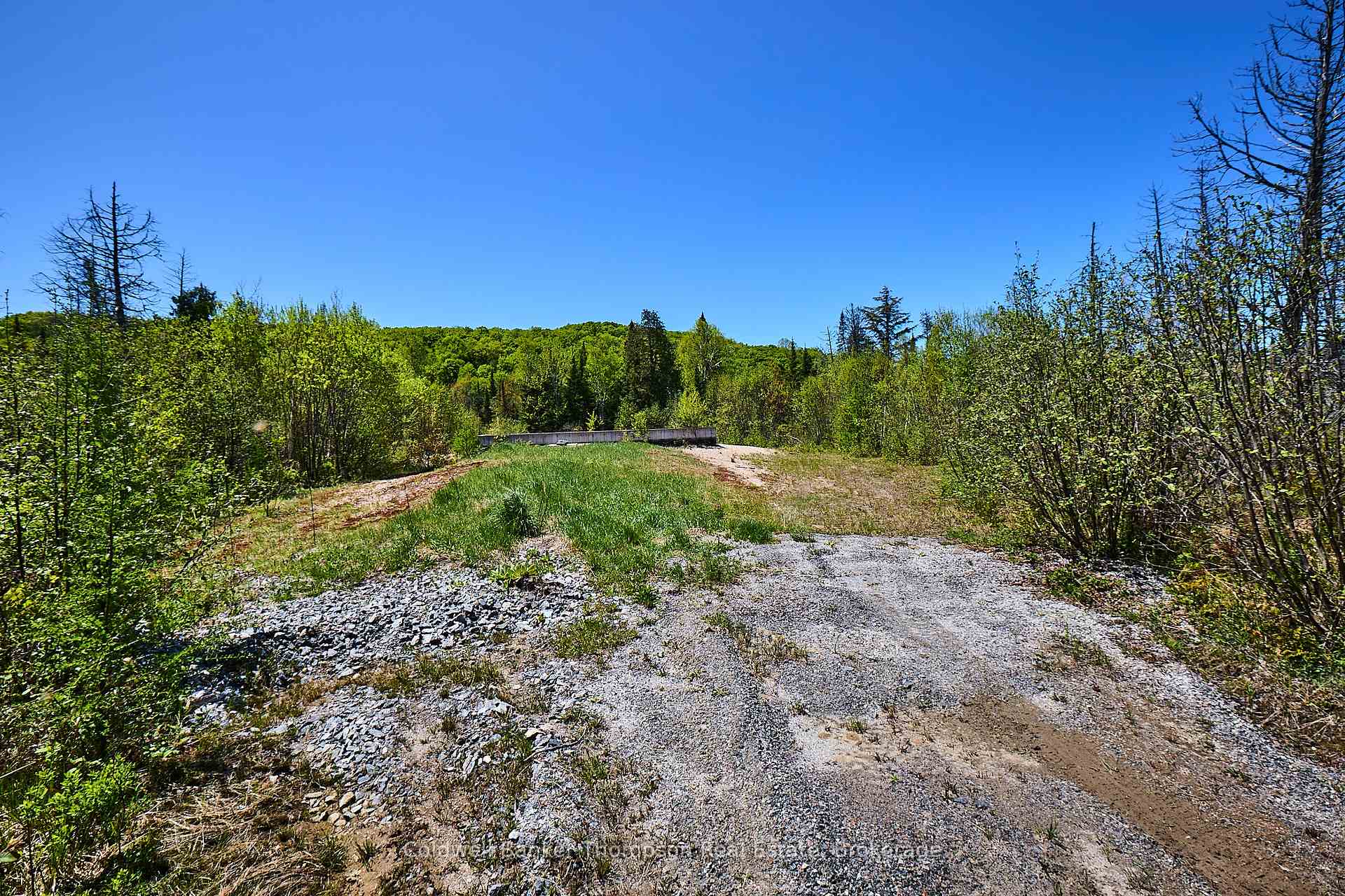 Photo 8 of 775 Spring Hill Road, Ryerson — HOMEH