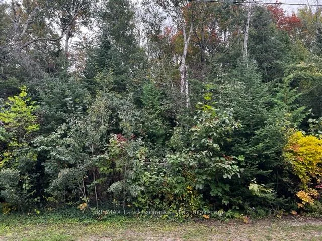 Photo of 3 Shore Road