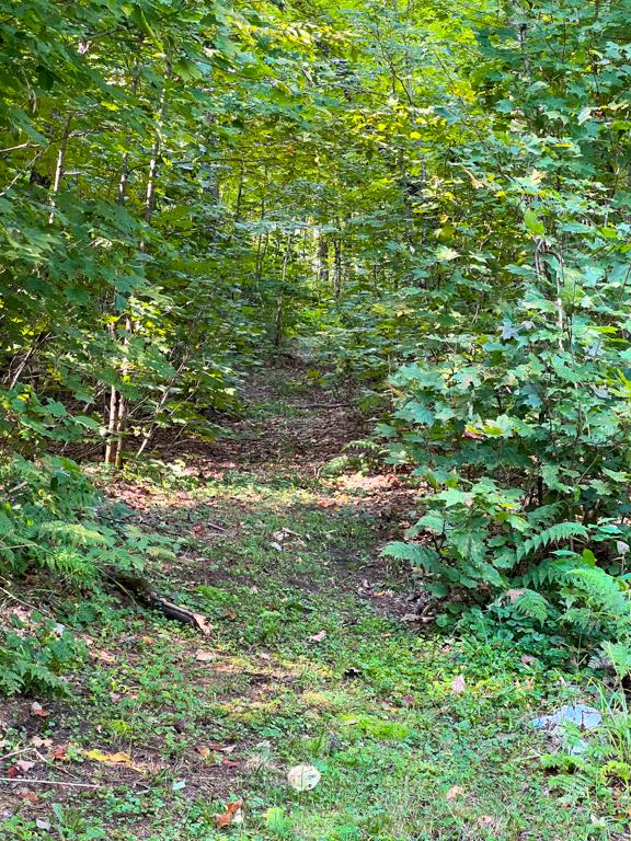 Photo 14 of 1252 Harrison Lake Road, Ryerson — HOMEH