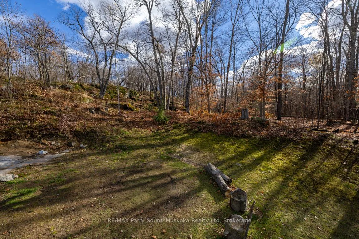 Photo 42 of 336 Clear Lake Road, Seguin — HOMEH