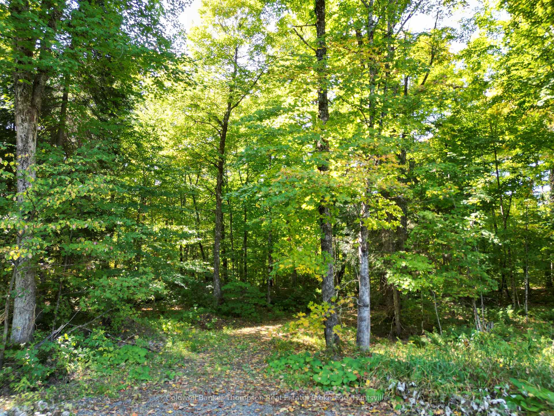 Photo 23 of 825 Madill Road, Ryerson — HOMEH
