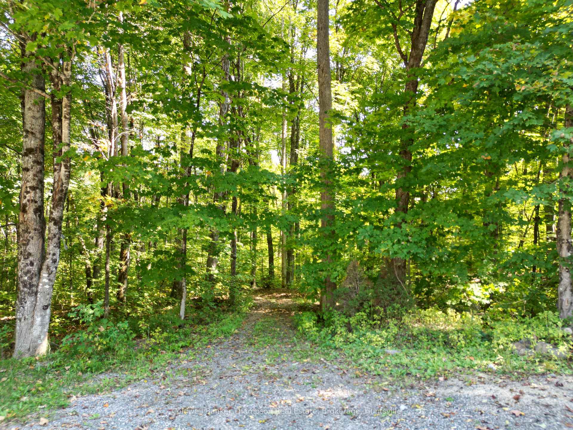 Photo 24 of 825 Madill Road, Ryerson — HOMEH