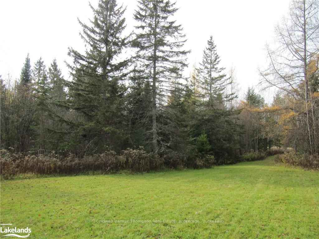 Photo 8 of Highway 520 W, Ryerson — HOMEH