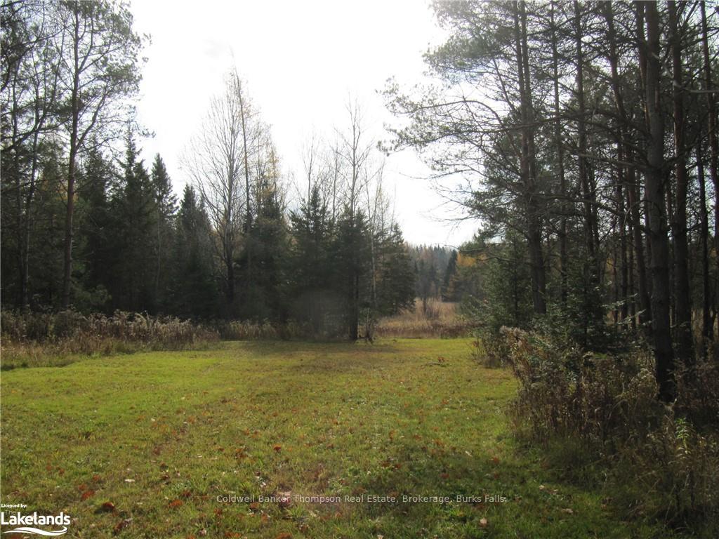 Photo 9 of Highway 520 W, Ryerson — HOMEH