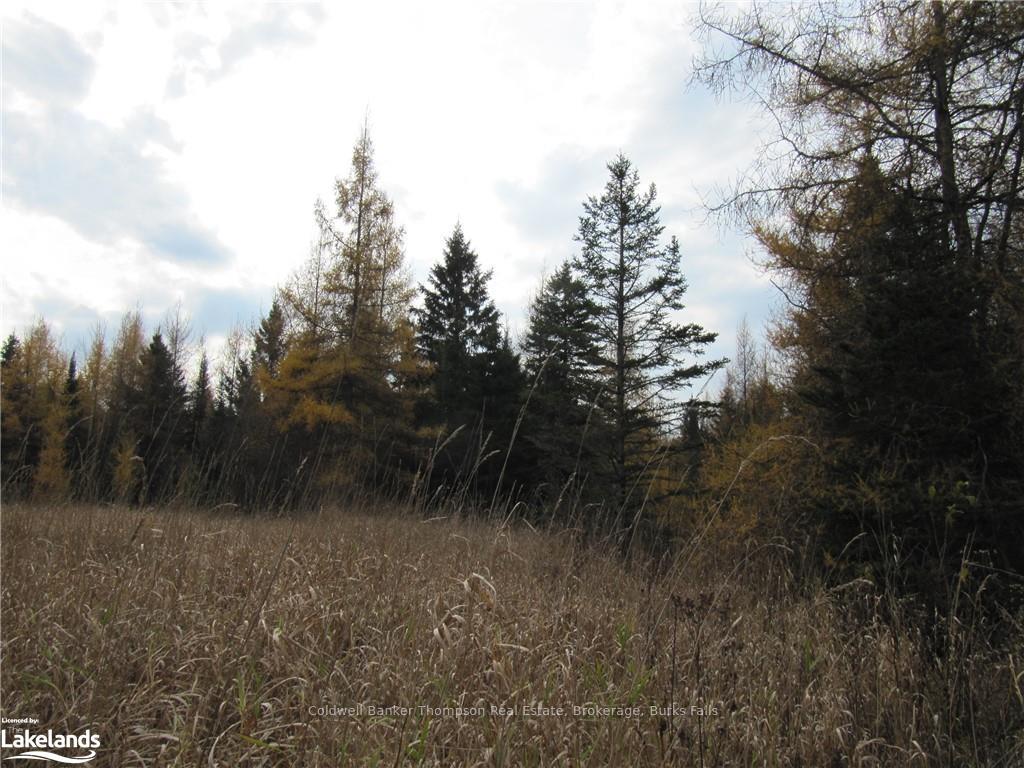 Photo 15 of Highway 520 W, Ryerson — HOMEH