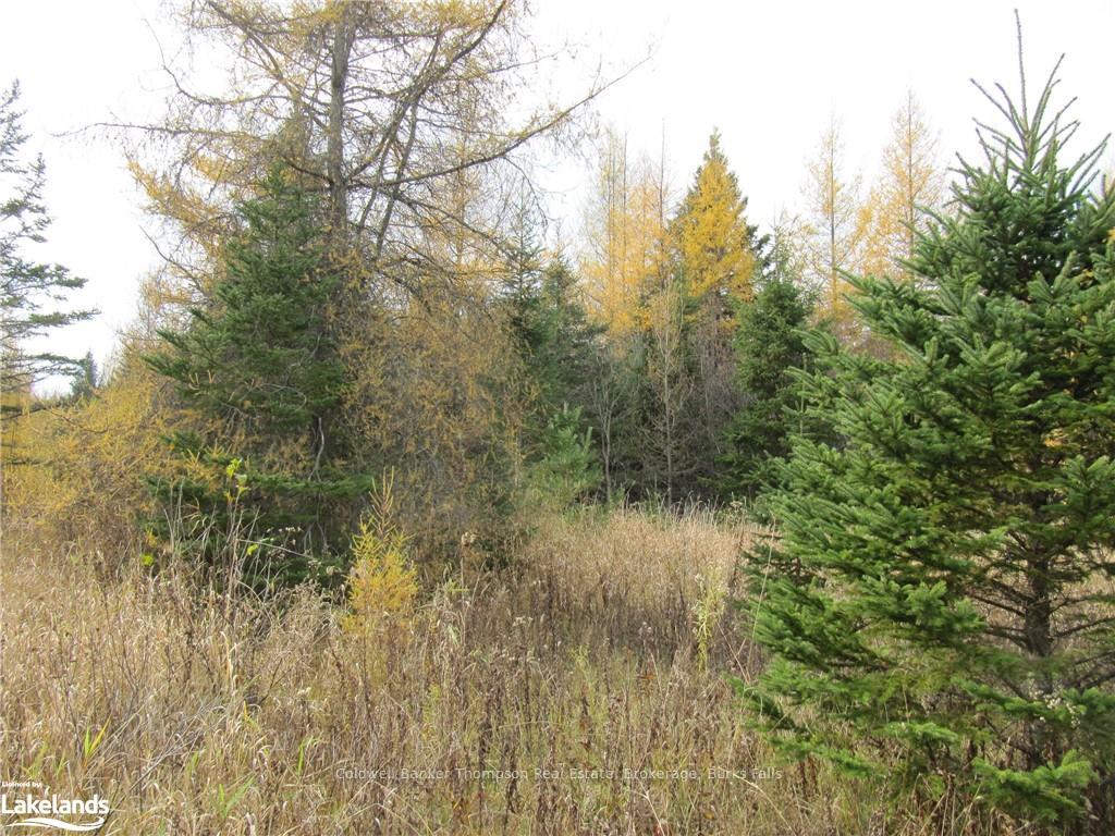 Photo 16 of Highway 520 W, Ryerson — HOMEH