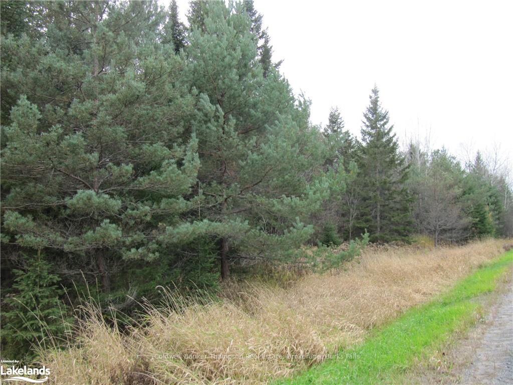 Photo 26 of Highway 520 W, Ryerson — HOMEH