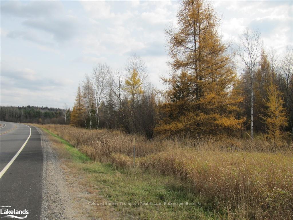 Photo 30 of Highway 520 W, Ryerson — HOMEH