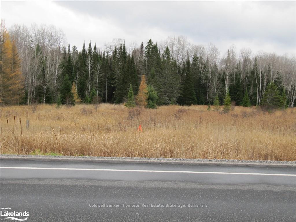 Photo 32 of Highway 520 W, Ryerson — HOMEH