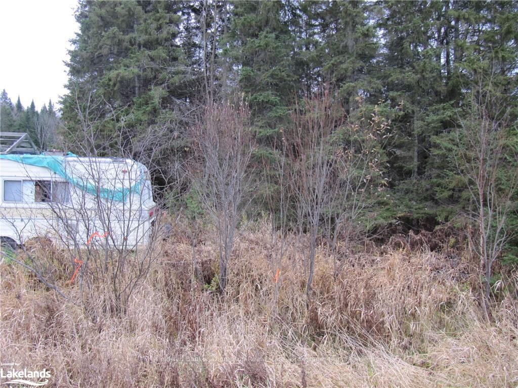 Photo 33 of Highway 520 W, Ryerson — HOMEH
