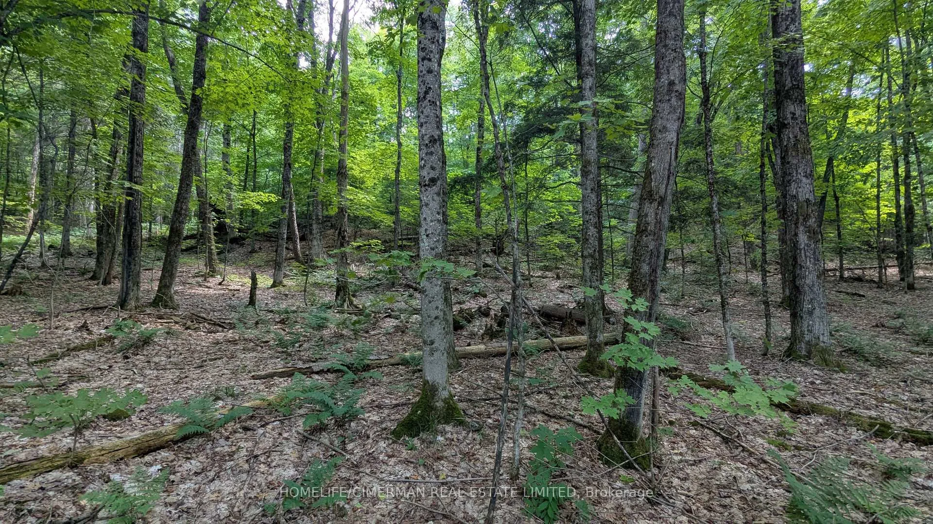 Photo 14 of 66 McCauley Road, Seguin — HOMEH