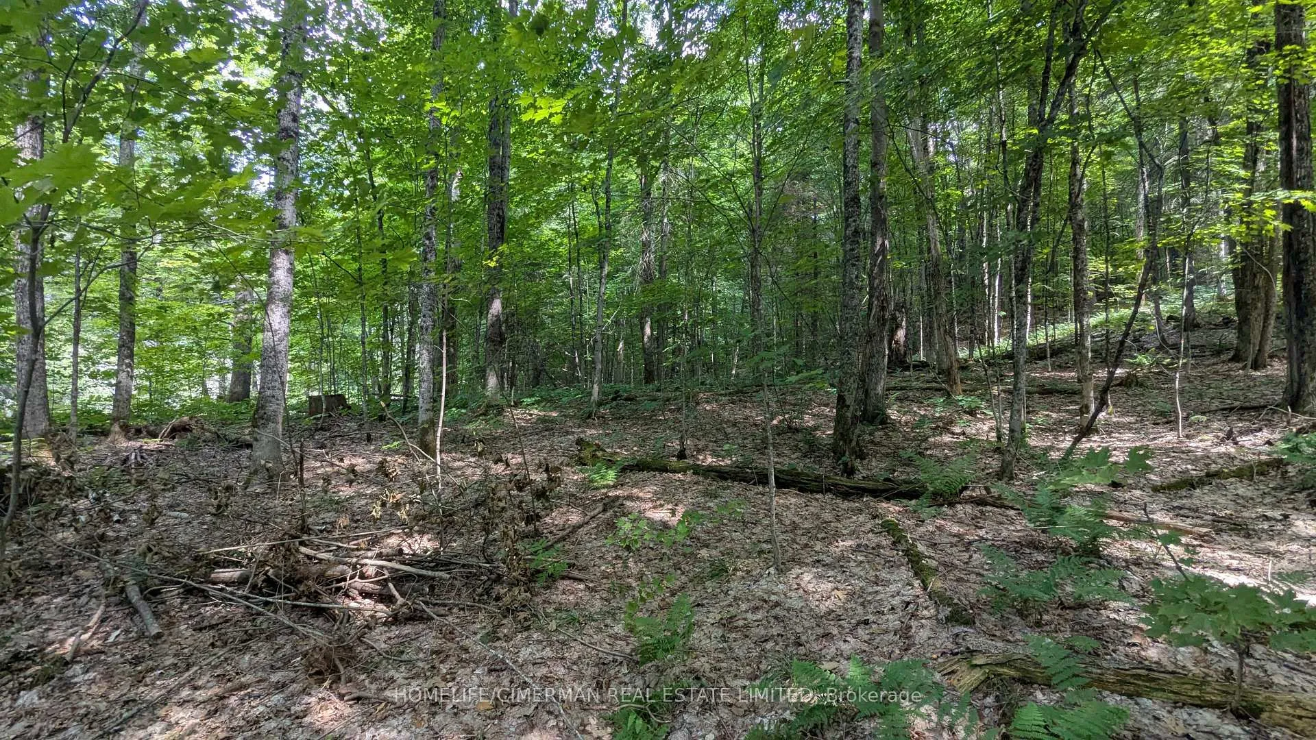 Photo 19 of 66 McCauley Road, Seguin — HOMEH