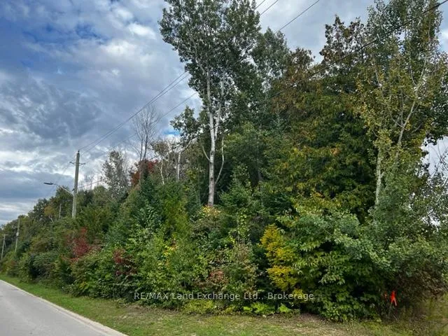 Photo of 1 Shore Road