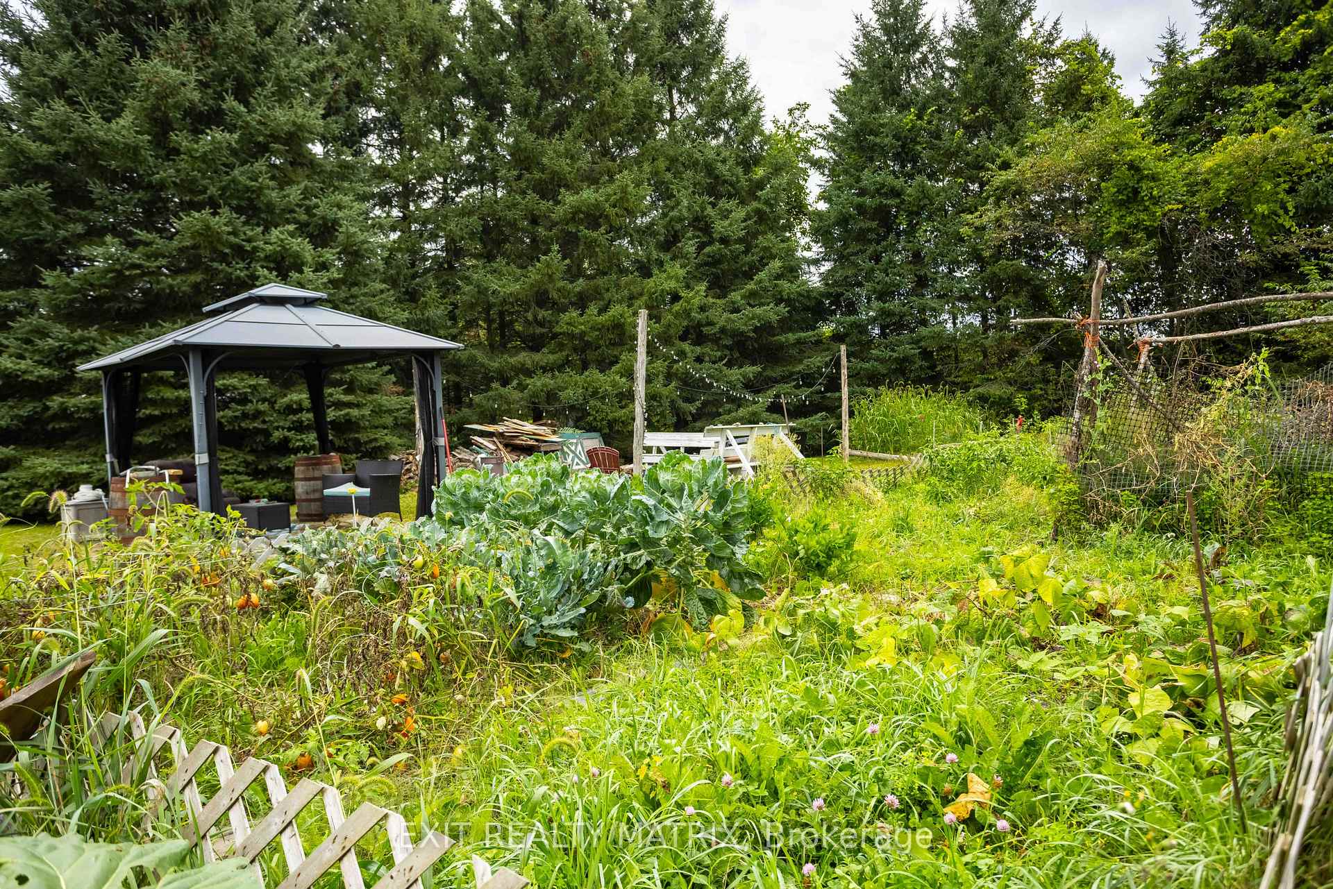 Photo 26 of 20255 Maple Road, South Glengarry, South Glengarry (Charlottenburgh) Twp — HOMEH