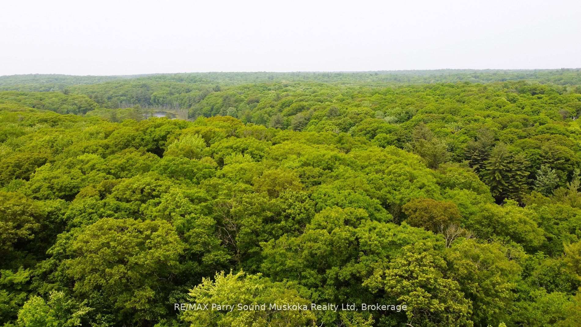 Photo 7 of 33 Lioness Road, Seguin — HOMEH