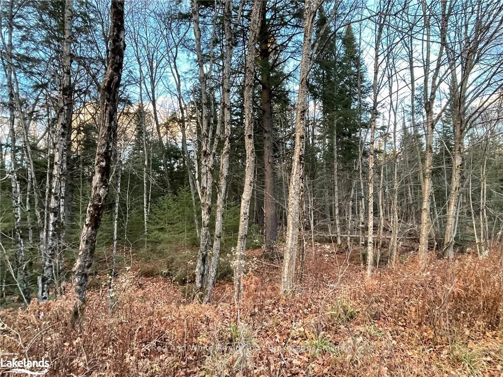 Photo 12 of 2675 Midlothian Road, Ryerson — HOMEH