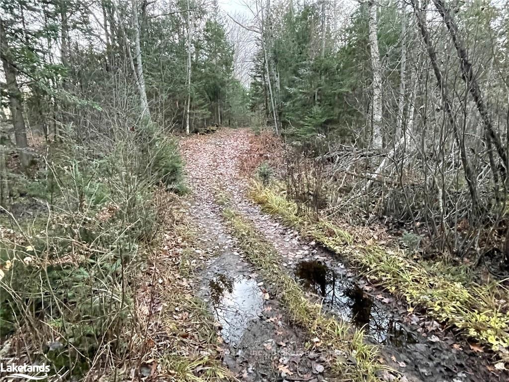 Photo 14 of 2675 Midlothian Road, Ryerson — HOMEH