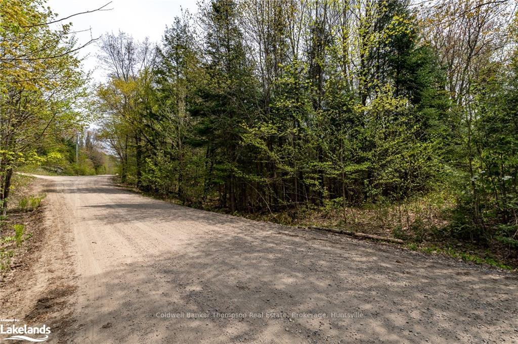 Photo 19 of 1151 Stoney Road, Ryerson — HOMEH