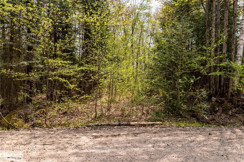 Photo 20 of 1151 Stoney Road, Ryerson — HOMEH