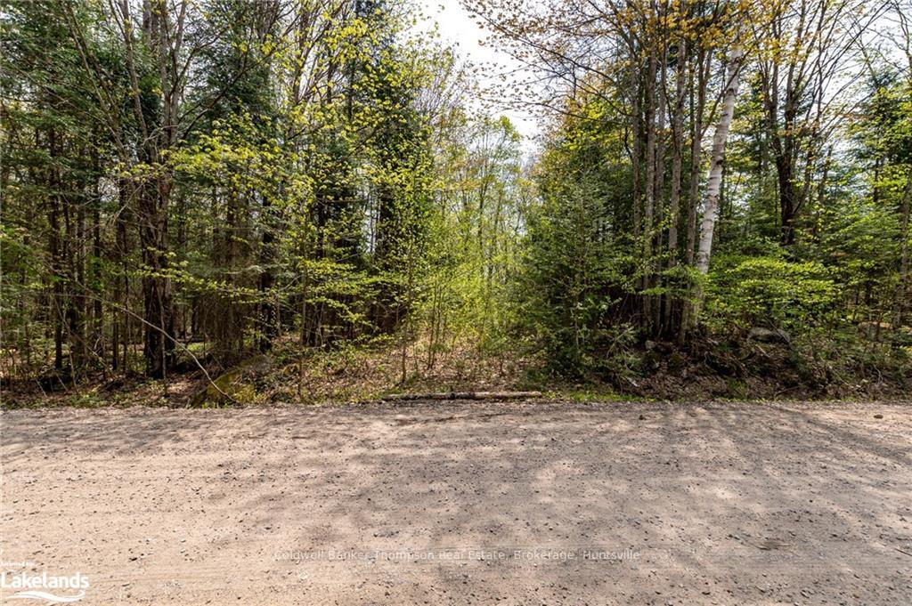 Photo 21 of 1151 Stoney Road, Ryerson — HOMEH