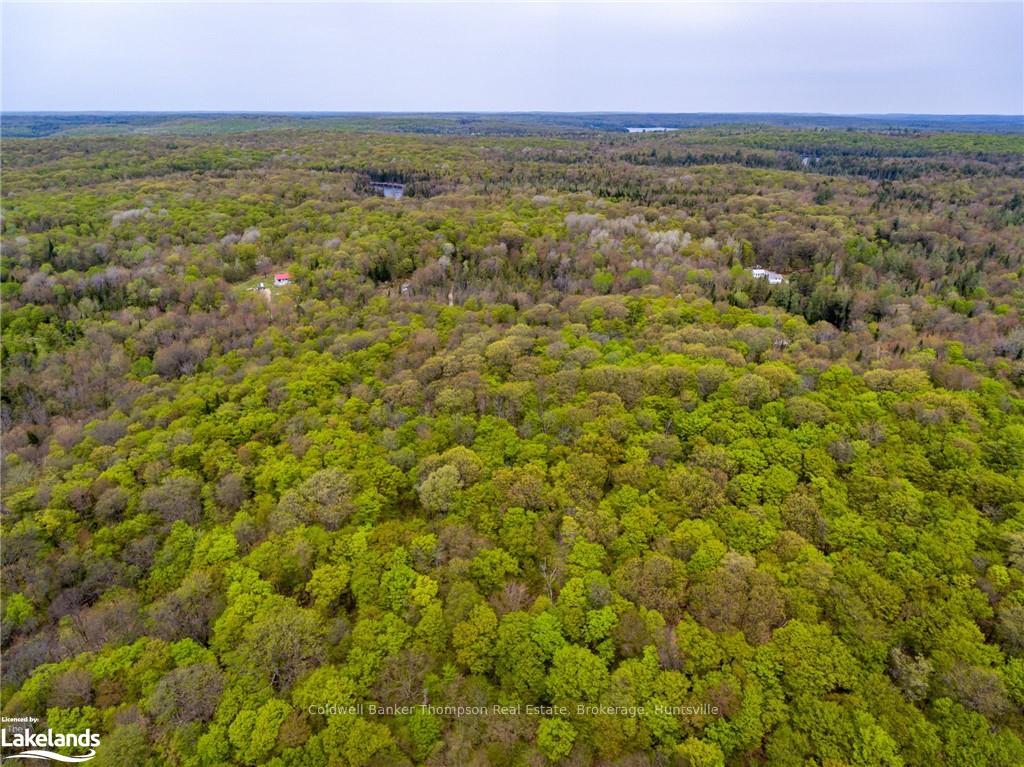 Photo 28 of 1151 Stoney Road, Ryerson — HOMEH