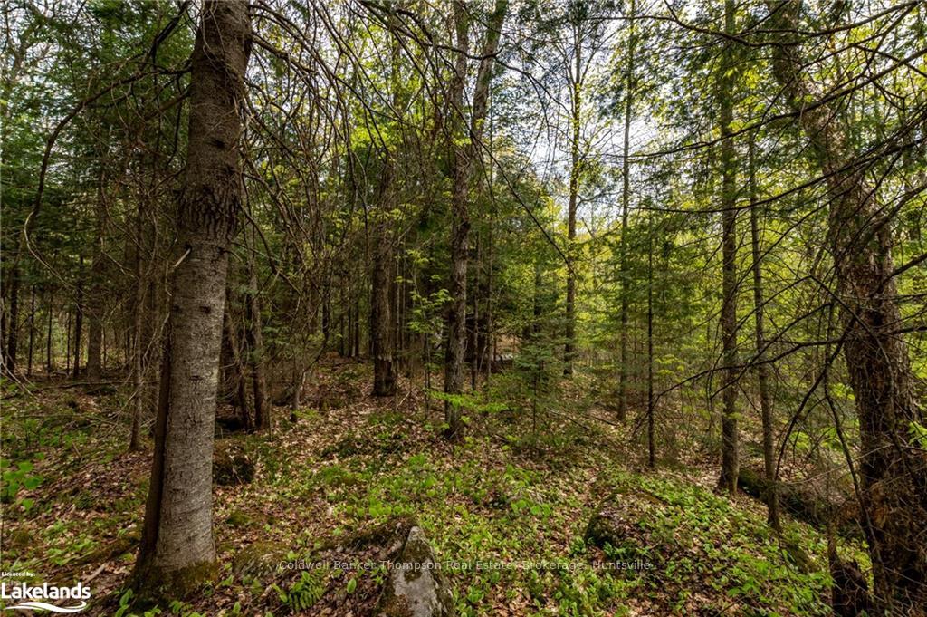 Photo 31 of 1151 Stoney Road, Ryerson — HOMEH