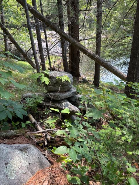 Photo 37 of 31 Bowood Road, Seguin — HOMEH