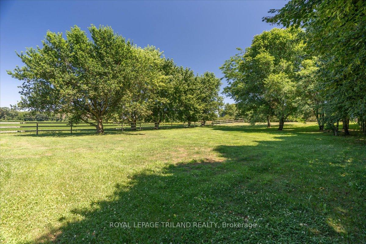 Photo 42 of 23186 Springfield Road, Southwest Middlesex, Rural Southwest Middlesex — HOMEH