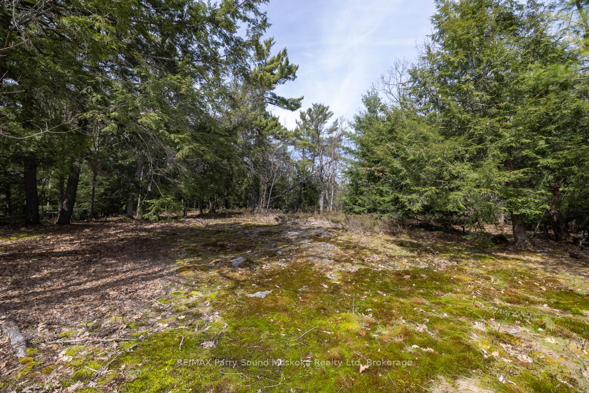 Photo 40 of 191 Clear Lake Road, Seguin — HOMEH