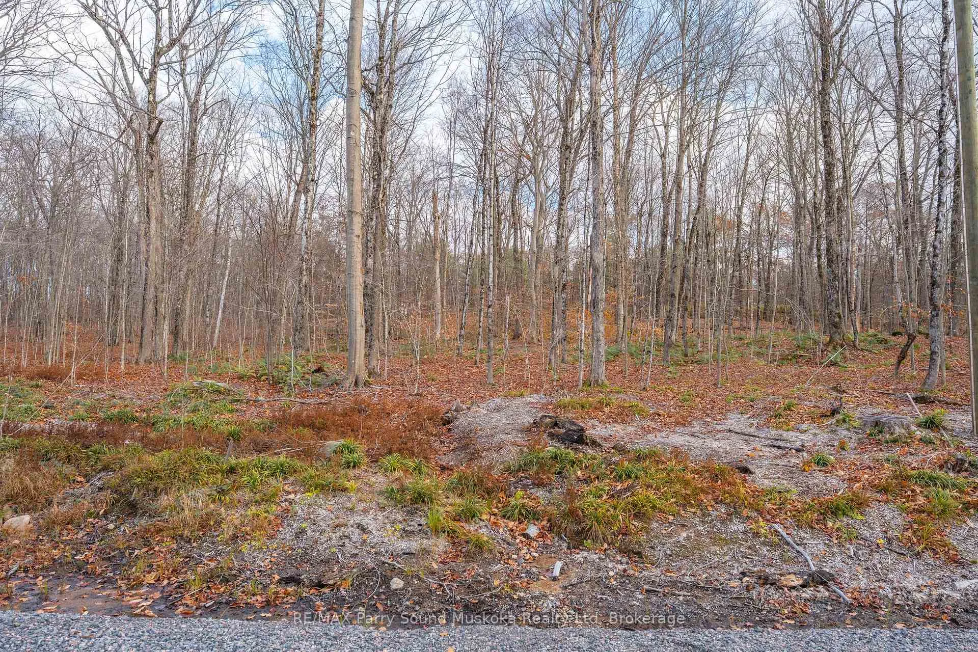 Photo 10 of Part 19 Standing People Road, Seguin — HOMEH