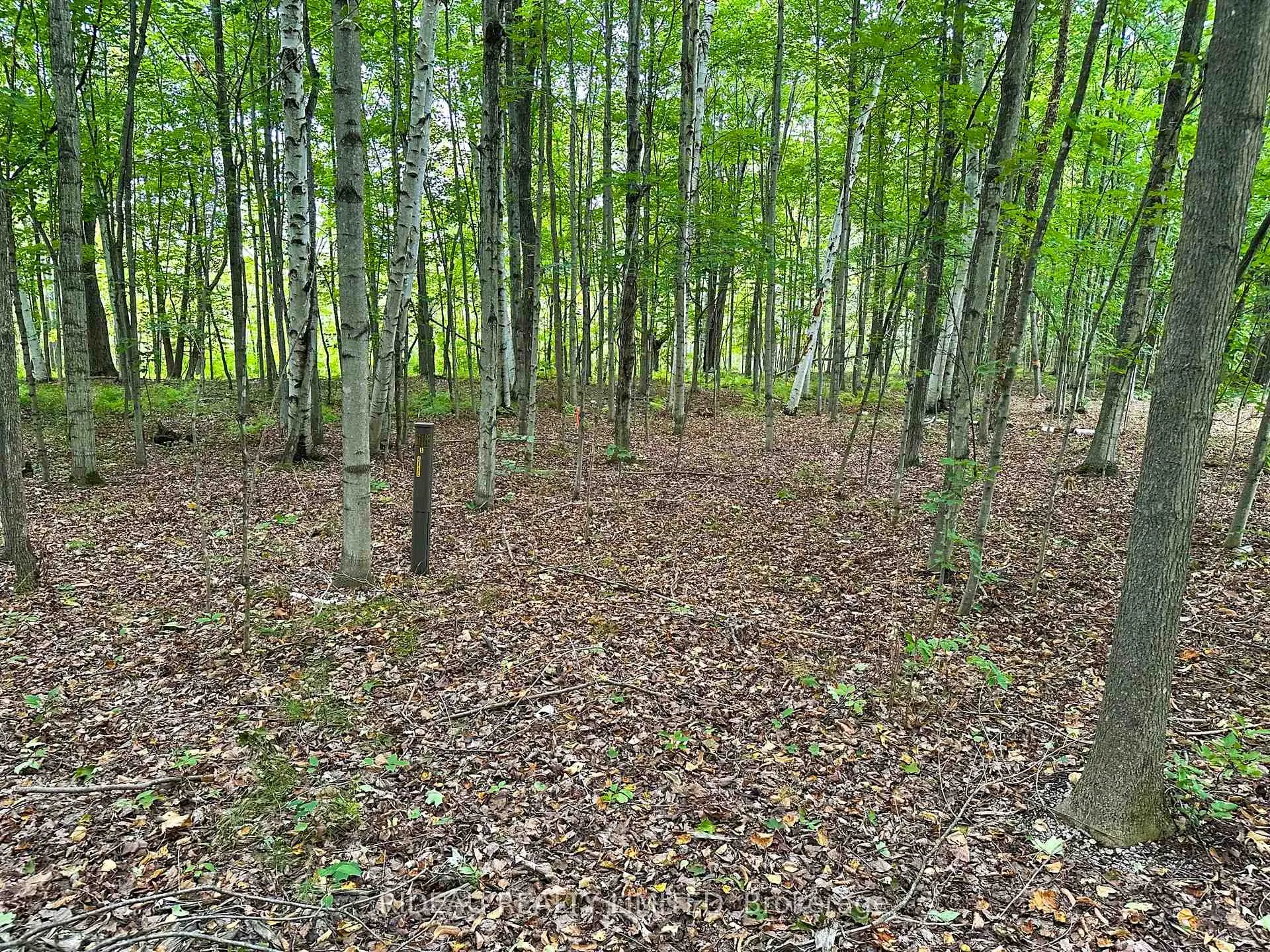 Photo 7 of PL4 Cedar Sands Road, Rideau Lakes, Rideau Lakes (South Crosby) Twp — HOMEH