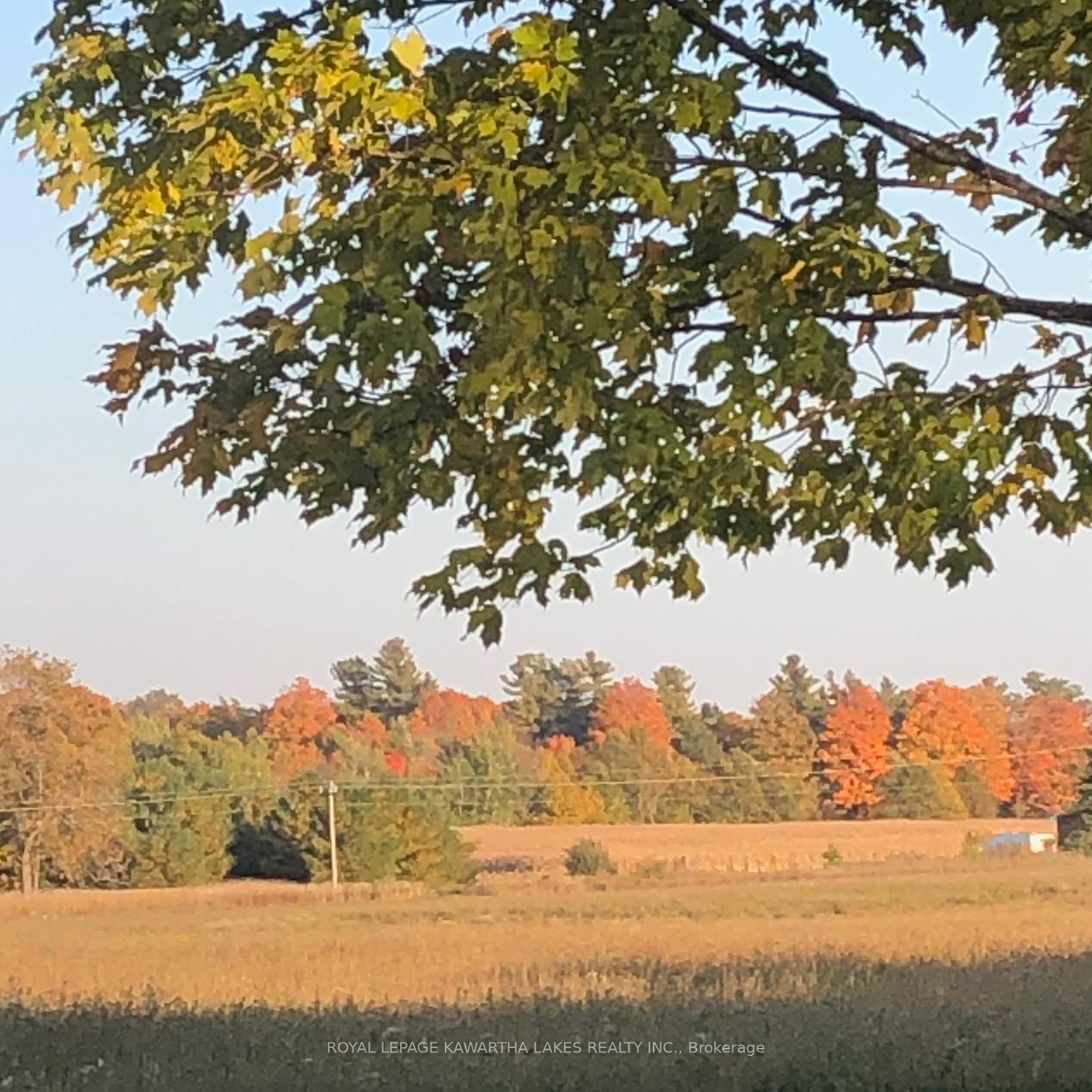 Photo 41 of 2960 Bradburn Road, Scugog, Blackstock — HOMEH