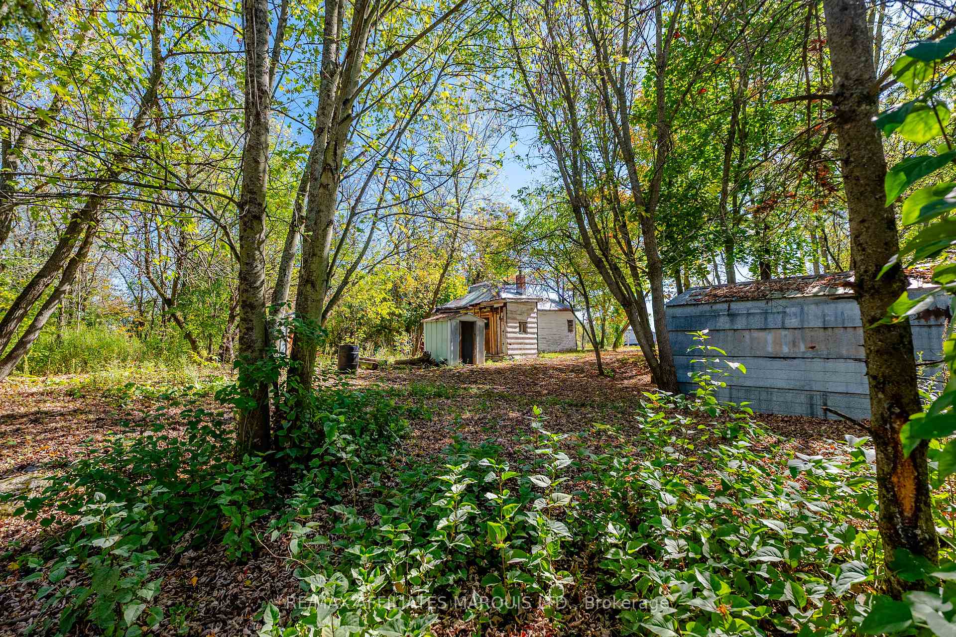 Photo 4 of 16517 Black River Road, South Stormont, South Stormont (Cornwall) Twp — HOMEH