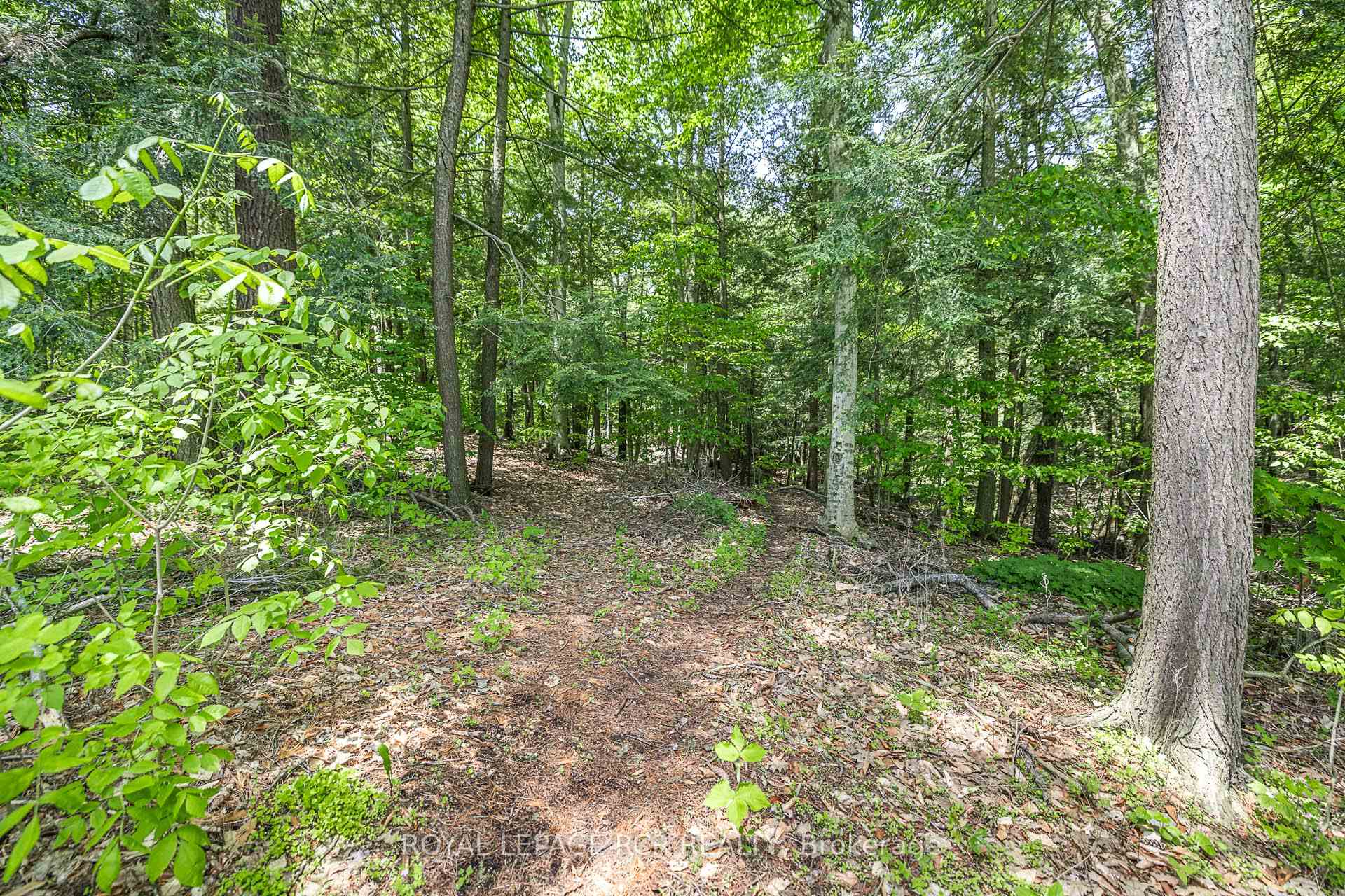 Photo 31 of 154 Pine Point Lane, Scugog, Rural Scugog — HOMEH