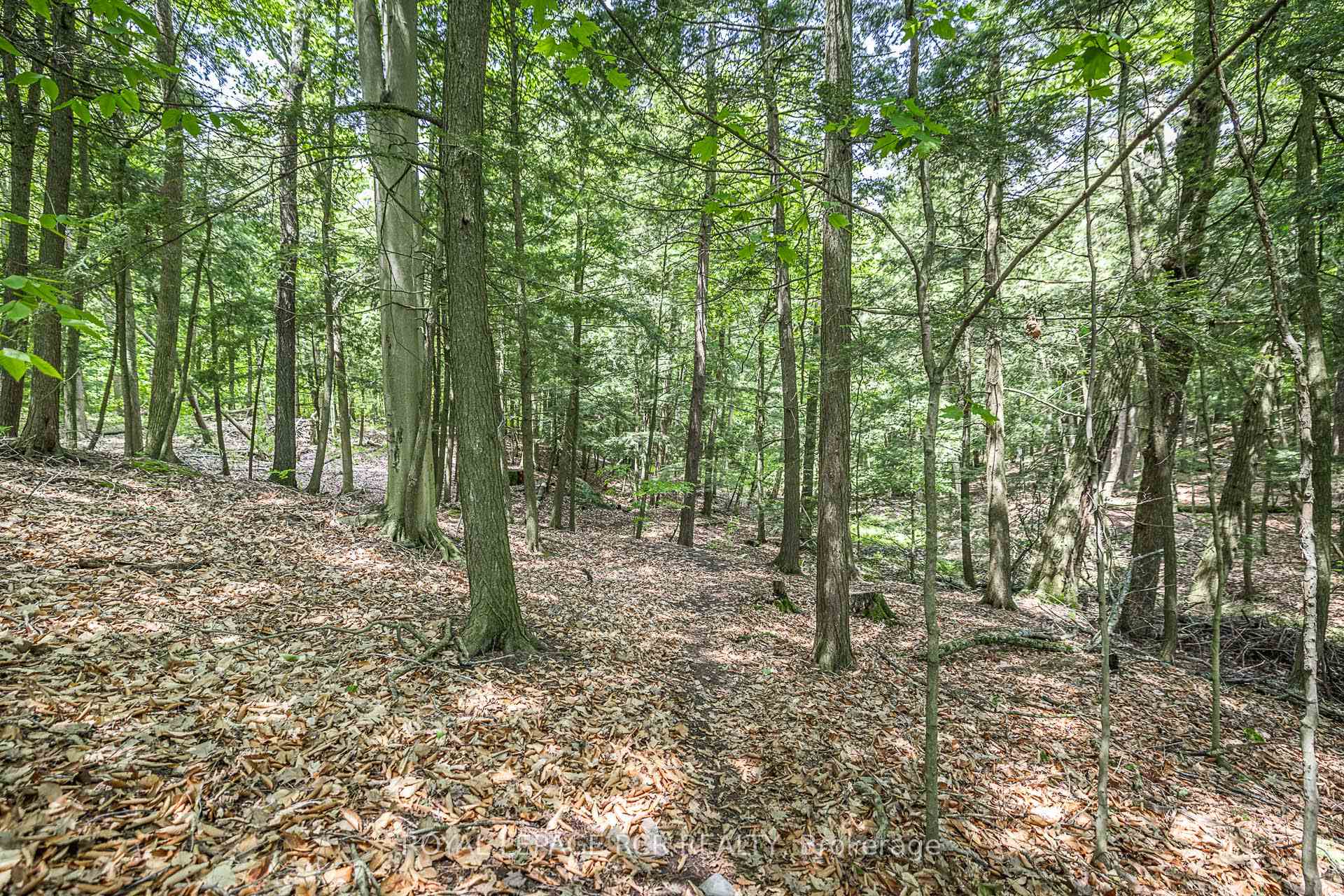 Photo 32 of 154 Pine Point Lane, Scugog, Rural Scugog — HOMEH